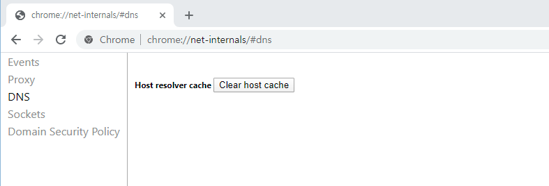 Chrome DNS 호스트 캐시 지우기